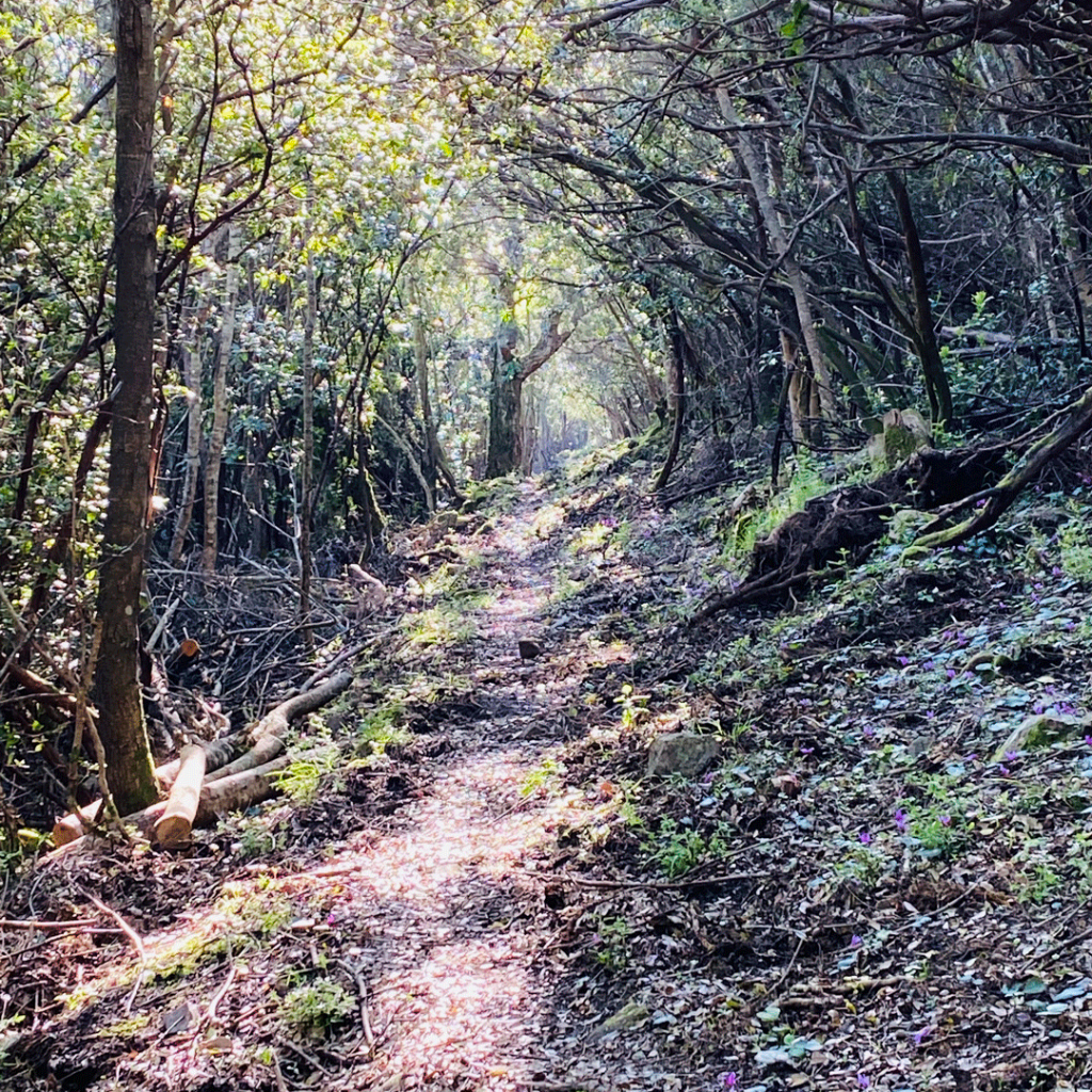 Balades et randonnées- Villa Nature - Découvrir Sari-Solenzara et ses alentours