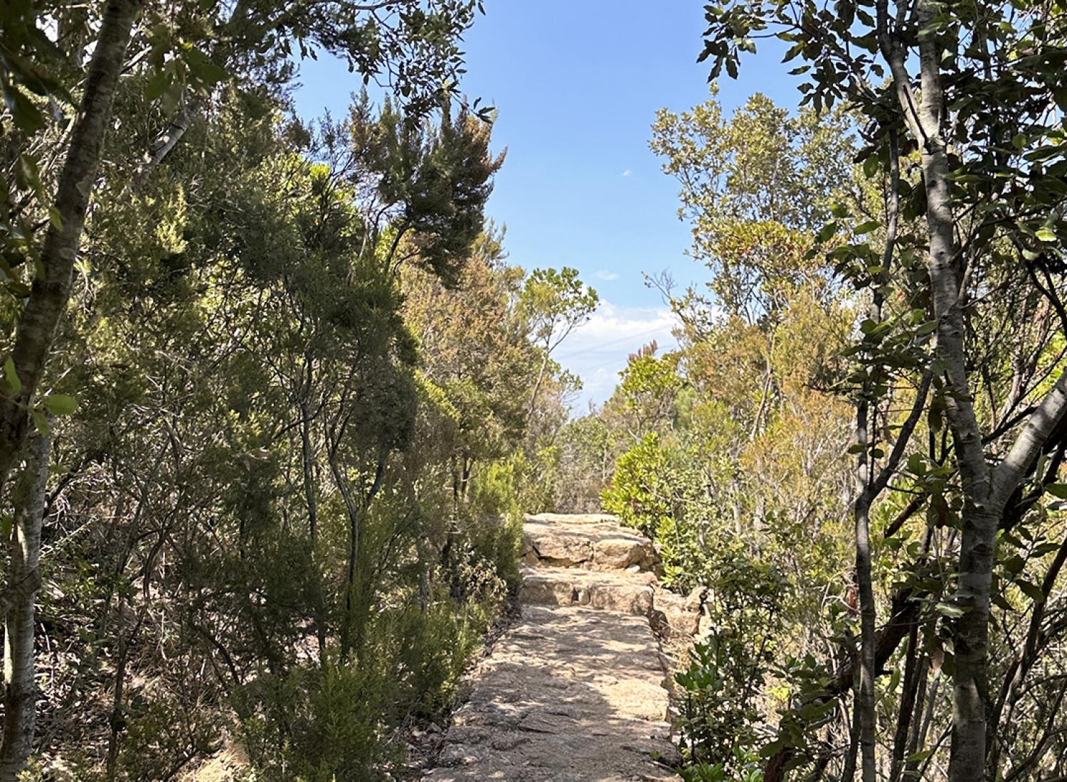 Chemin comme dans les bergeries corses - Villa Nature - Espaces extérieurs