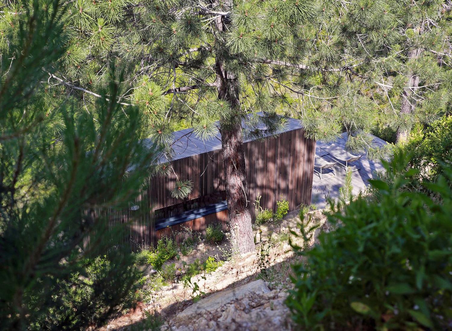 Un immersion dans la nature, caché à travers les arbres - Cabane Casella - Location de tiny house à Sari-Solenzara, Corse